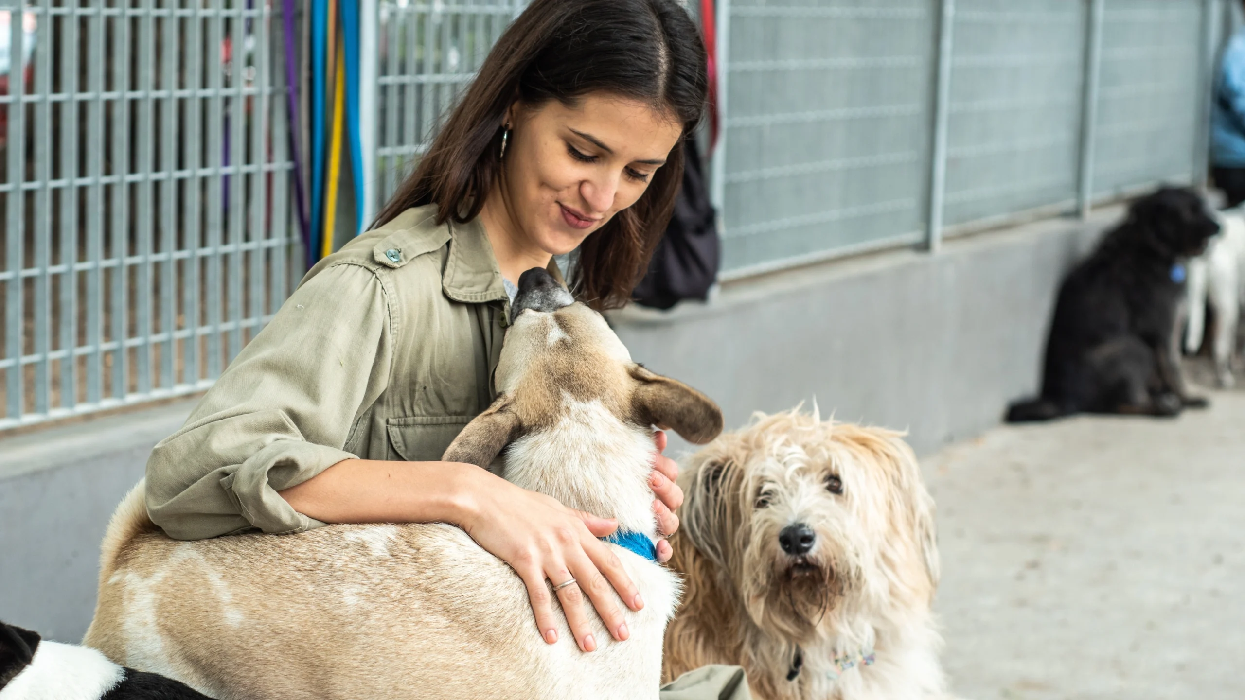 Here’s how Pet Partners is serving the community, online and off.